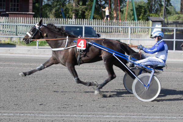 – Fint med mye og variert trening for eldre hester, ellers har de lett for å bli stive
