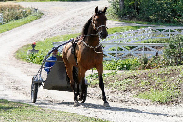 Bra spor for Floris og Malmin