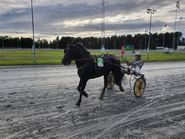Tre av tre kvalifiseringer til Tjomsland
