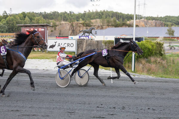 Gigant Invalley har vunnet løp hvert eneste år siden 2013
