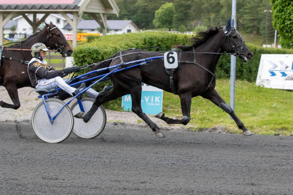 3-årshoppe leverte en flott spurt etter veldisponert kusking