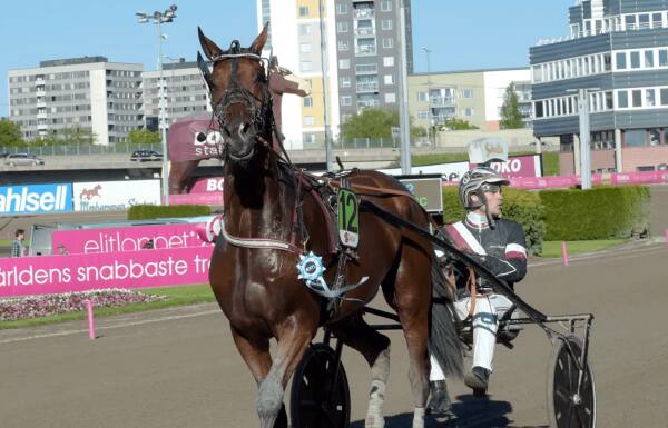 Kolgjini kommer med Upstate Face