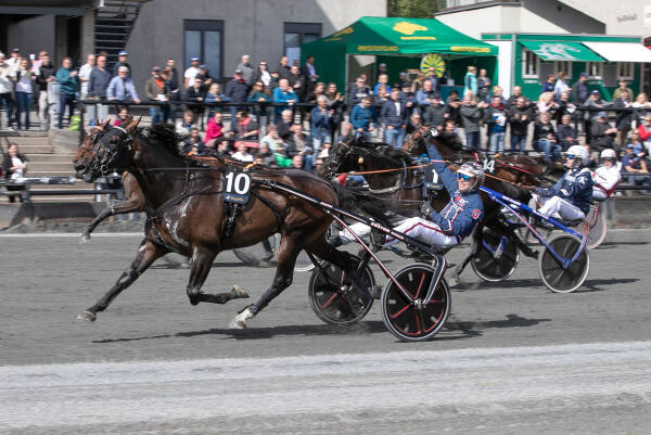 Seneskade for Gundersen-traveren