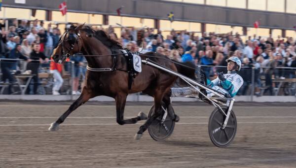 Francesco Zet jogget 10,1a/1640 i sin årsdebut