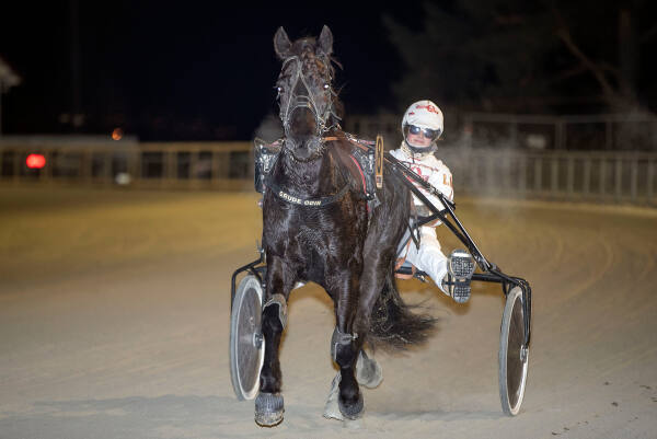 Hest og kusk i strålende form