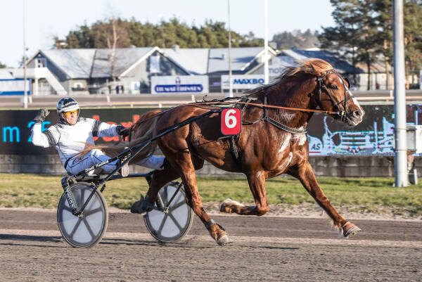 Starter i V75 etter pause – med bare ett øye
