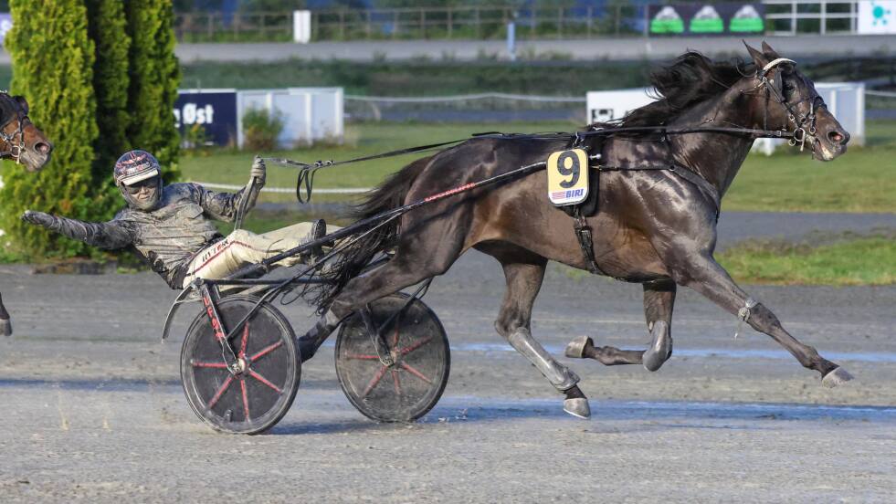 Charron strålte i Norgesmesterskapet og tok en overbevisende seier.
 Foto: Trond Pedersen/hesteguiden.com