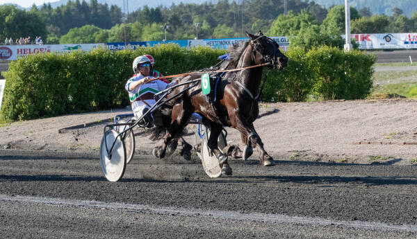 – Veldig moro for de tre eierne som har hatt gode hester i generasjoner