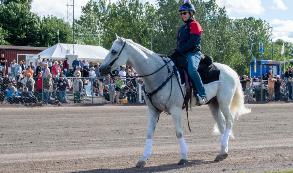 Outrider-hesten måtte avlives etter ulykke