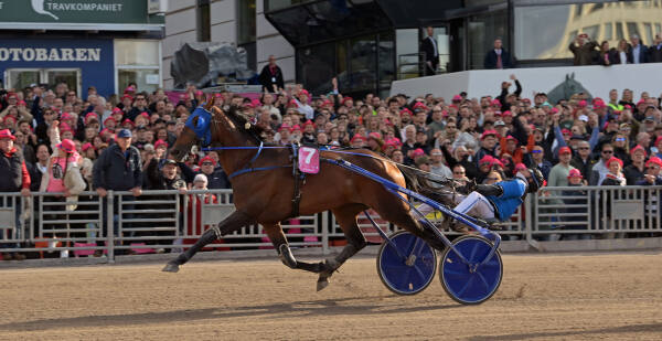 Elitloppsvinneren jager storseier i Belgia