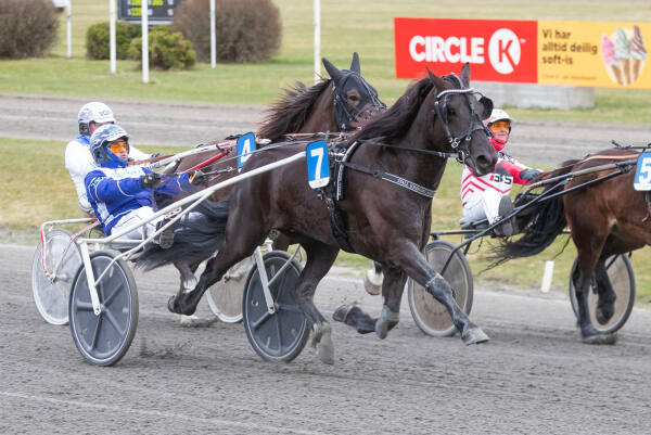 Øina Perla fulgte opp seieren i årsdebuten med nok en triumf