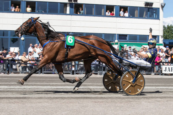 Miracle Tile fra bakspor