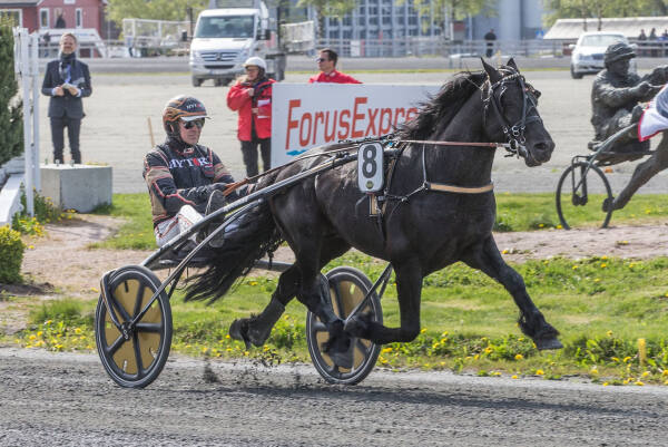 – Han er klar igjen på senhøsten