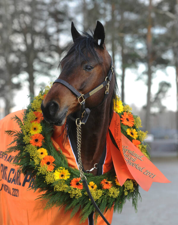 Siste hest inn i leken