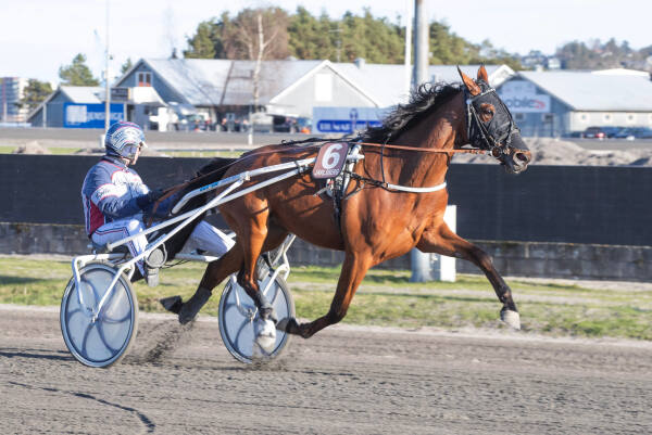 Taminara debuterte med stil på 16,6v/2140